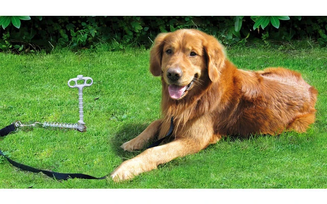 Peggy Peg Anleinehalterung PetPeg Für Tiere 3 Peggy Peg Anleinehalterung PetPeg Für Tiere