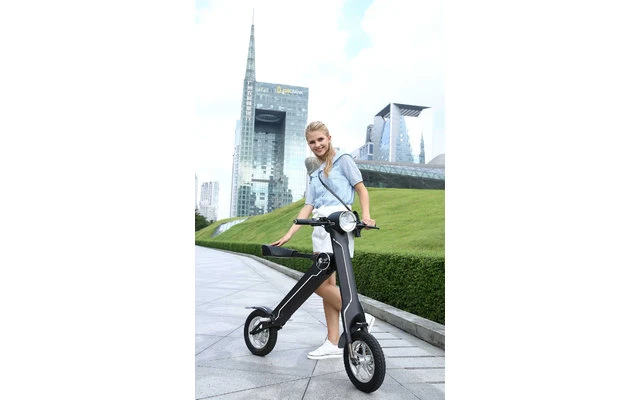 Lehe K1 + E-Mofa Olivgrün 4 Lehe K1 + E-Mofa Olivgrün – Bild 2