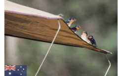 Gordigear Dachzelt 165 Plus Für 3 Personen Mit Vorzelt 165 X 320 Cm Grün 15 Gordigear Dachzelt 165 Plus Für 3 Personen Mit Vorzelt 165 X 320 Cm Grün -Camping im Freien 585663 3986115