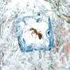 Swissinno Insekten Frostspray - Insektizidfrei- -Camping im Freien 693758 4834277